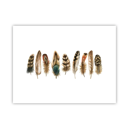 Affisch - Fjädervariation - 40x30 cm