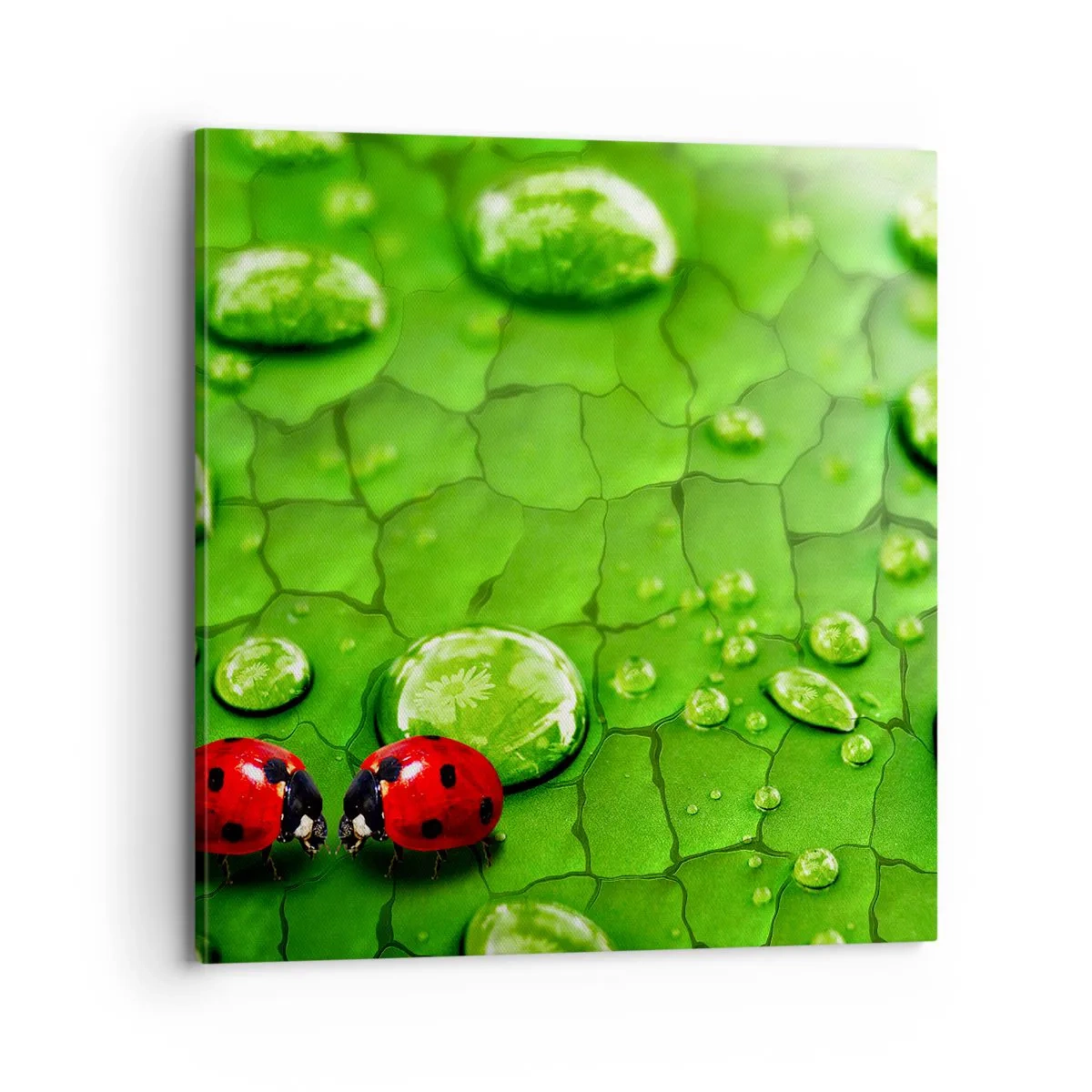 Canvastavla - Bild på duk - Ett möte i det gröna - 70x70 cm