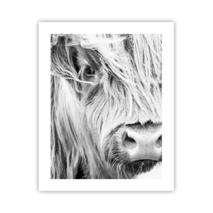 Affisch - Skotsk vildhet - 40x50 cm