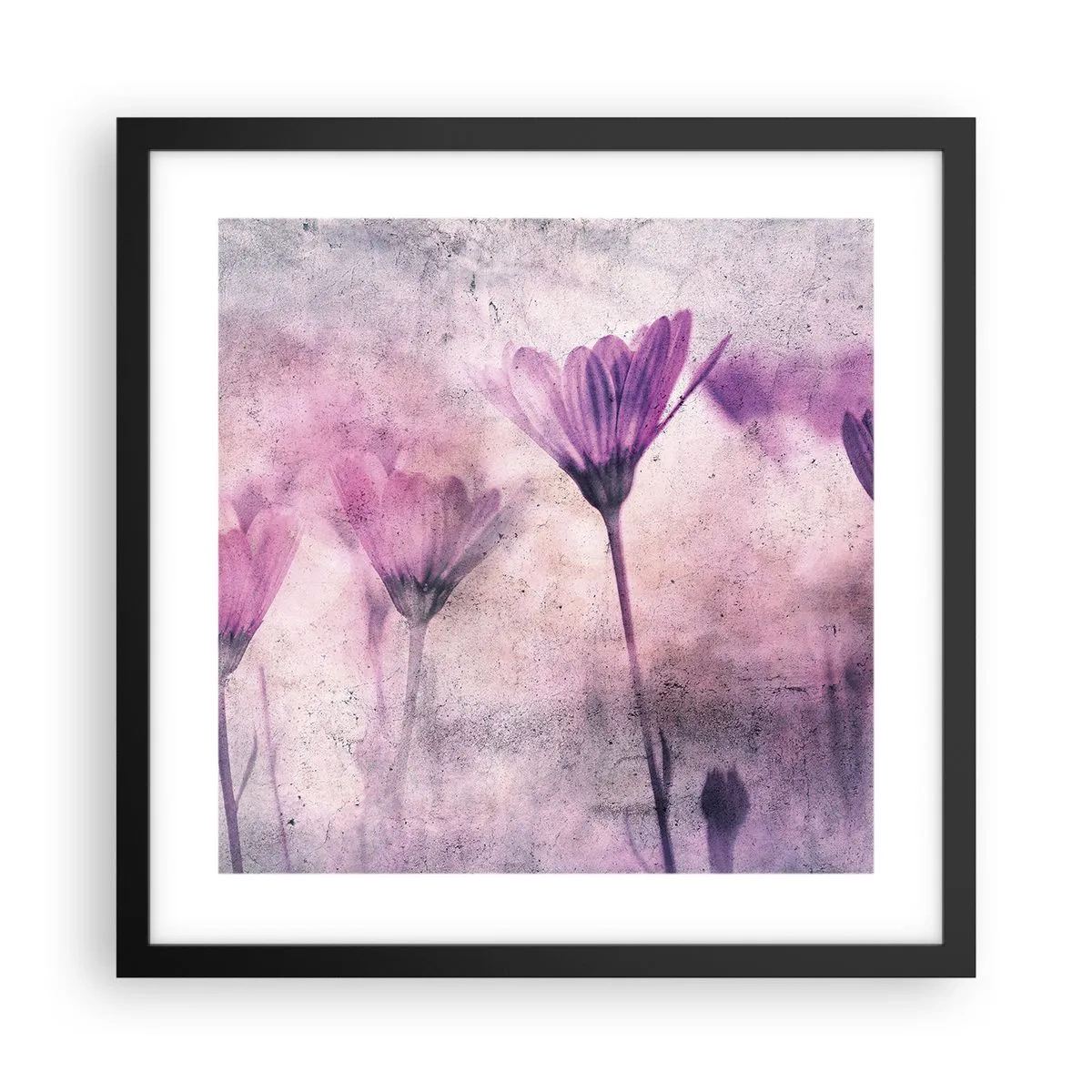 Affisch i svart ram - Blommornas sömn - 40x40 cm