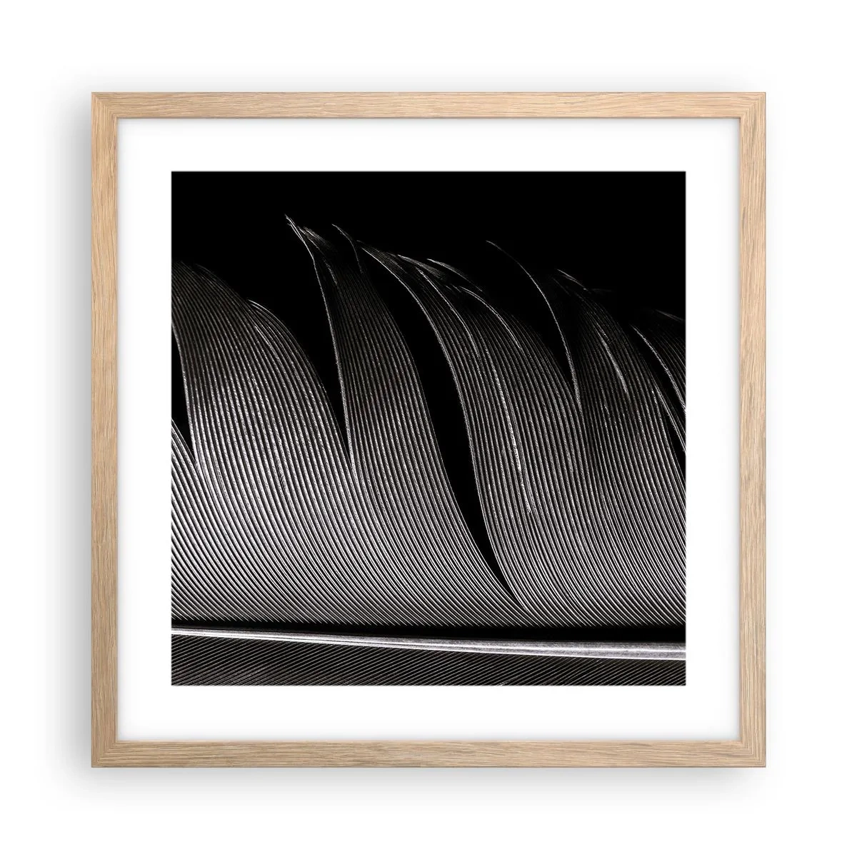 Affisch i ram av ljusek - Fjäder - en underbar konstruktion - 40x40 cm