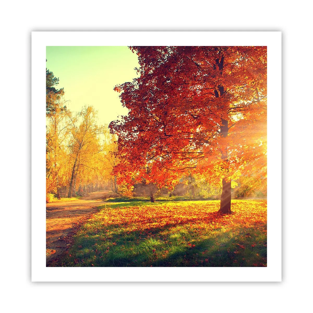 Affisch - Rött är vackert - 60x60 cm