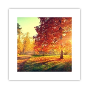 Affisch - Rött är vackert - 30x30 cm