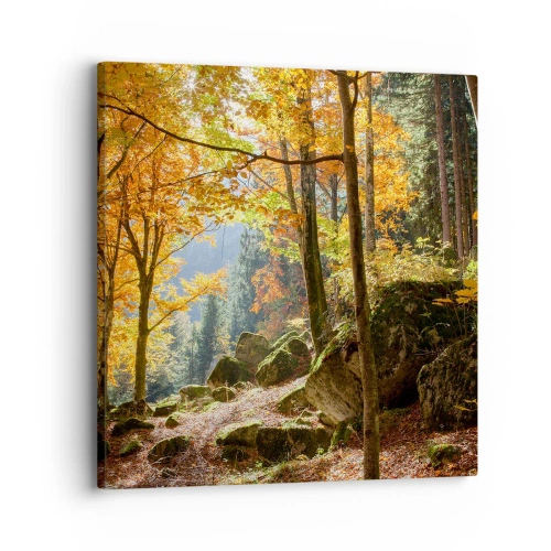 Canvastavla - Bild på duk - Dags att vila - 30x30 cm