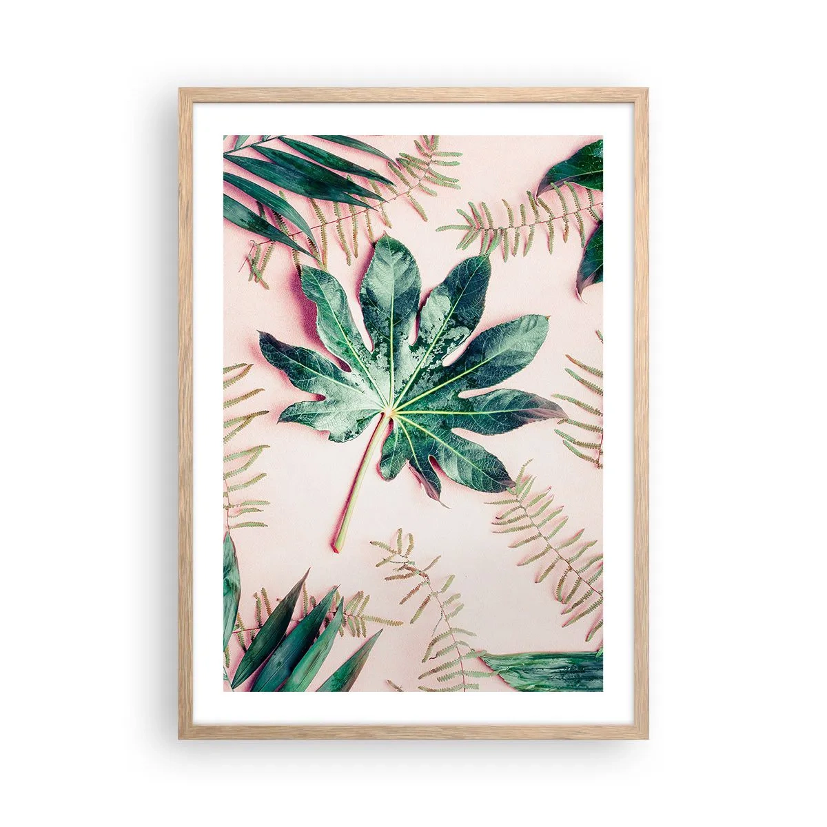 Affisch i ram av ljusek - Grönskans studie mot rosa bakgrund - 50x70 cm