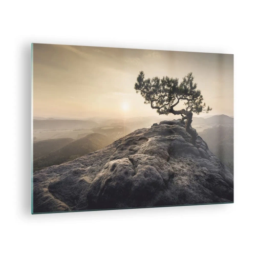 Glastavla - Bild på glas - Ett träd på en sten i ljuset av den uppgående solen - 70x50cm - Livet vinner alltid - Modern väggdekoration för vardagsrum och sovrum ARTTOR