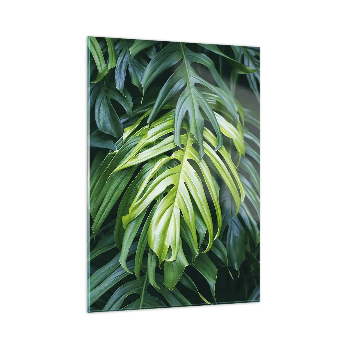 Glastavla - Bild på glas - Doppa sig i fräschheten - 50x70 cm
