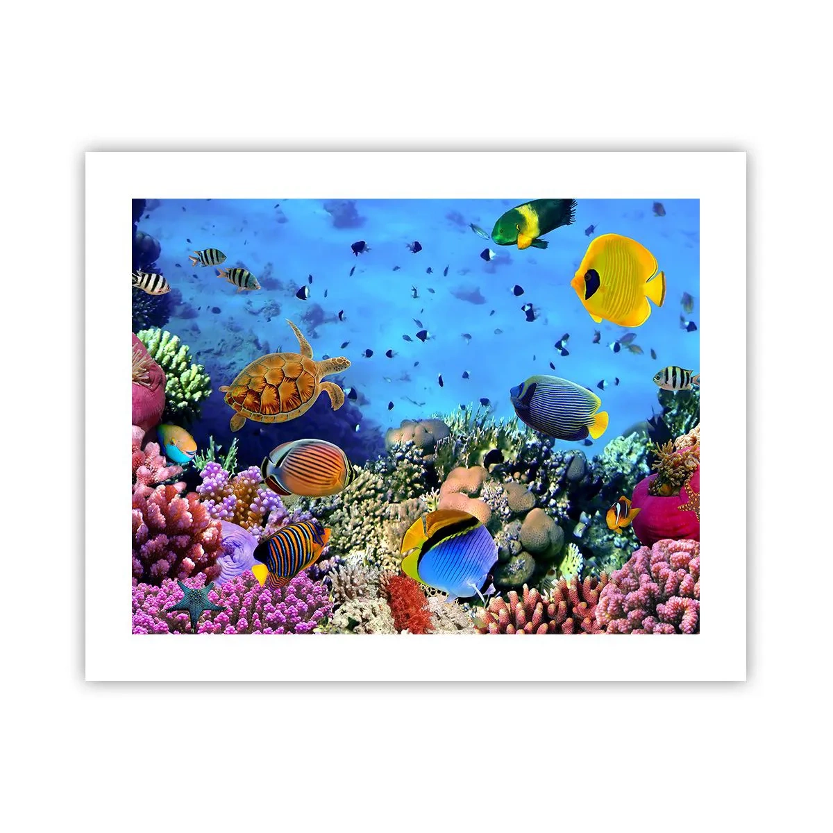 Affisch - Vad vet vi om livet... - 50x40 cm