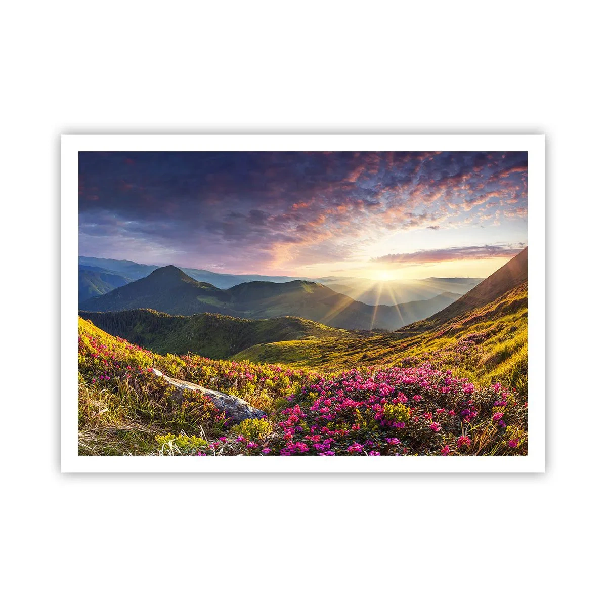 Affisch - Fjällmorgonens fräschhet - 100x70 cm