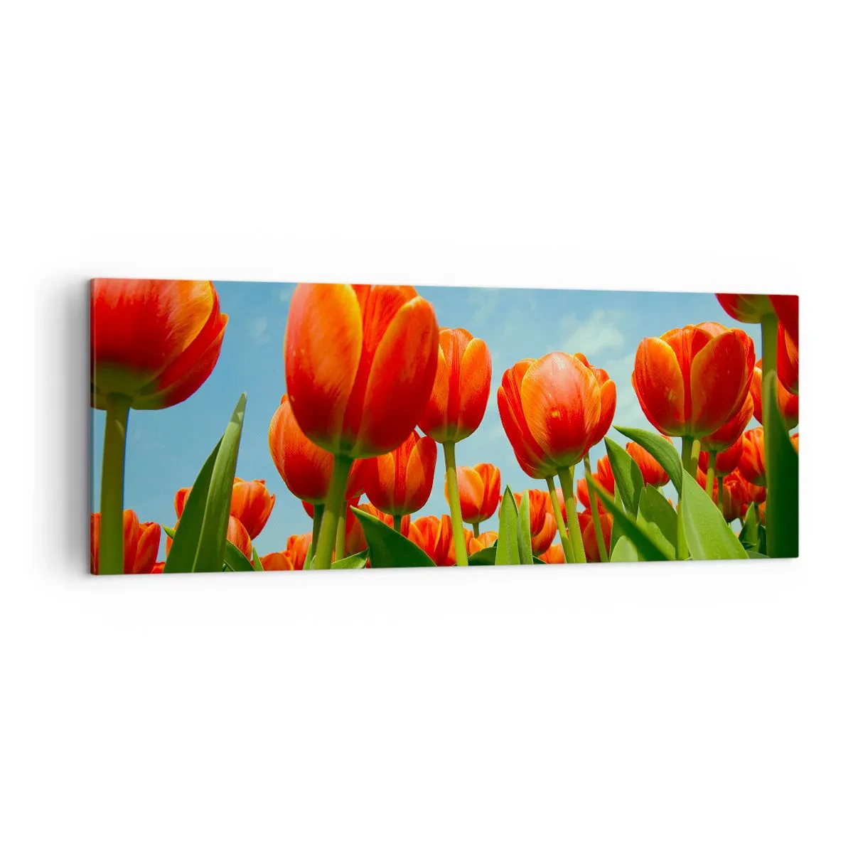 Canvastavla - Bild på duk - Förutom blå himmel behöver vi inget annat i livet - 140x50 cm