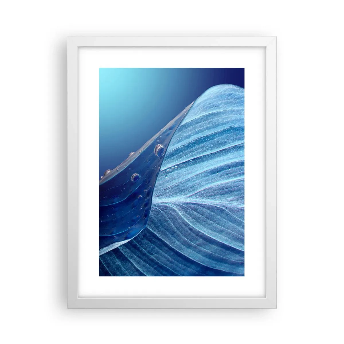 Affisch i vit ram - Dolda droppar av blått - 30x40 cm