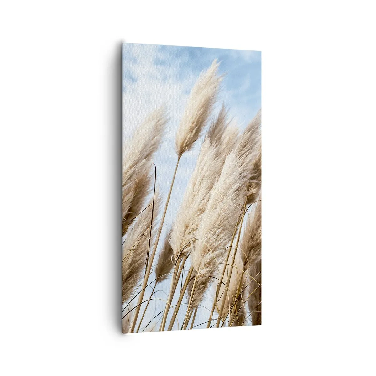 Canvastavla - Bild på duk - Solig och blåsig smekning - 65x120 cm