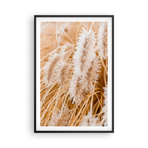Affisch i svart ram - Gyllene gräsrassel - 61x91 cm