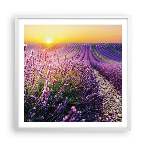 Affisch i vit ram - Doftande åkermark - 60x60 cm