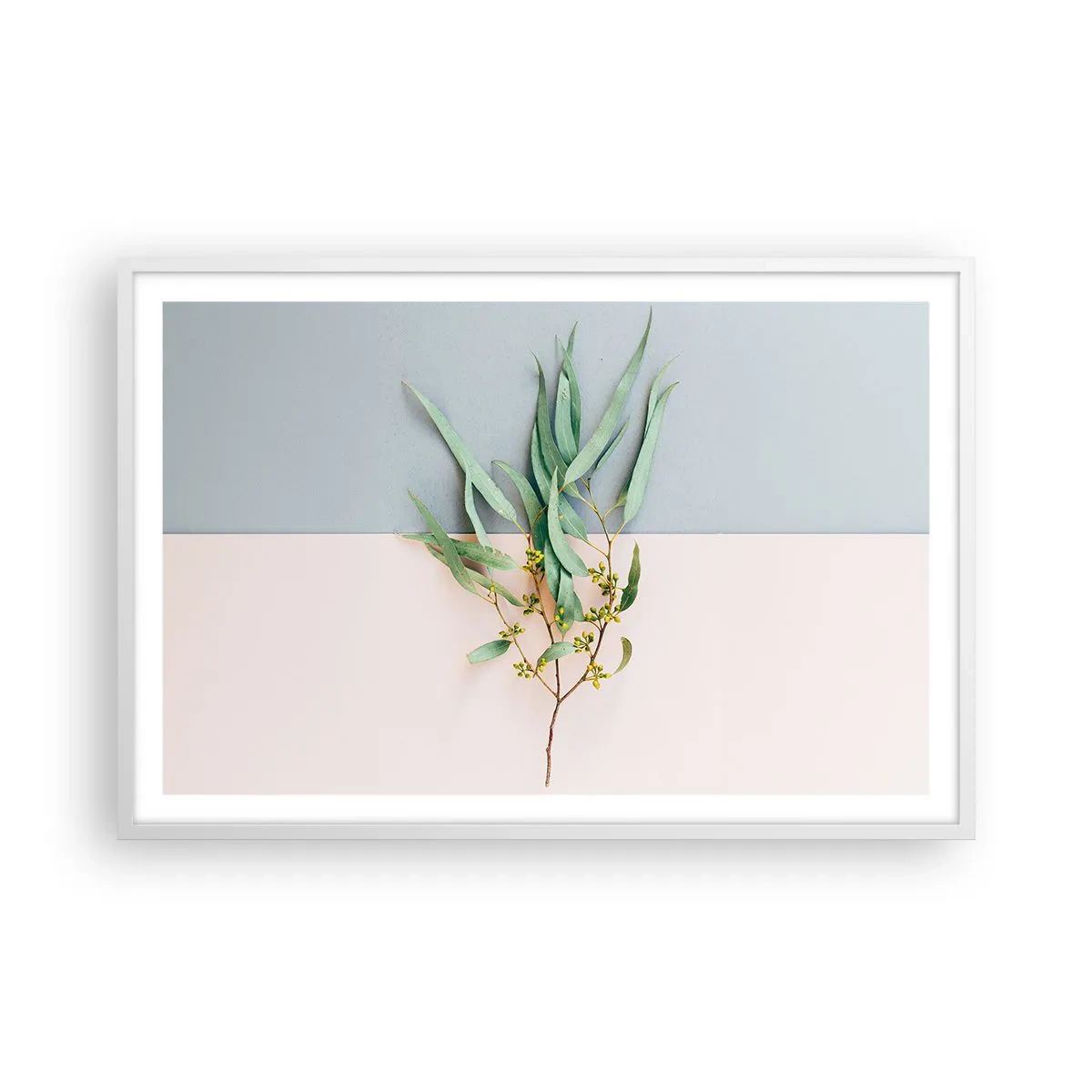 Affisch i vit ram - Pastellens subtilitet - 91x61 cm