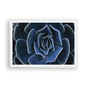 Affisch i vit ram - Öknens blomma - 100x70 cm