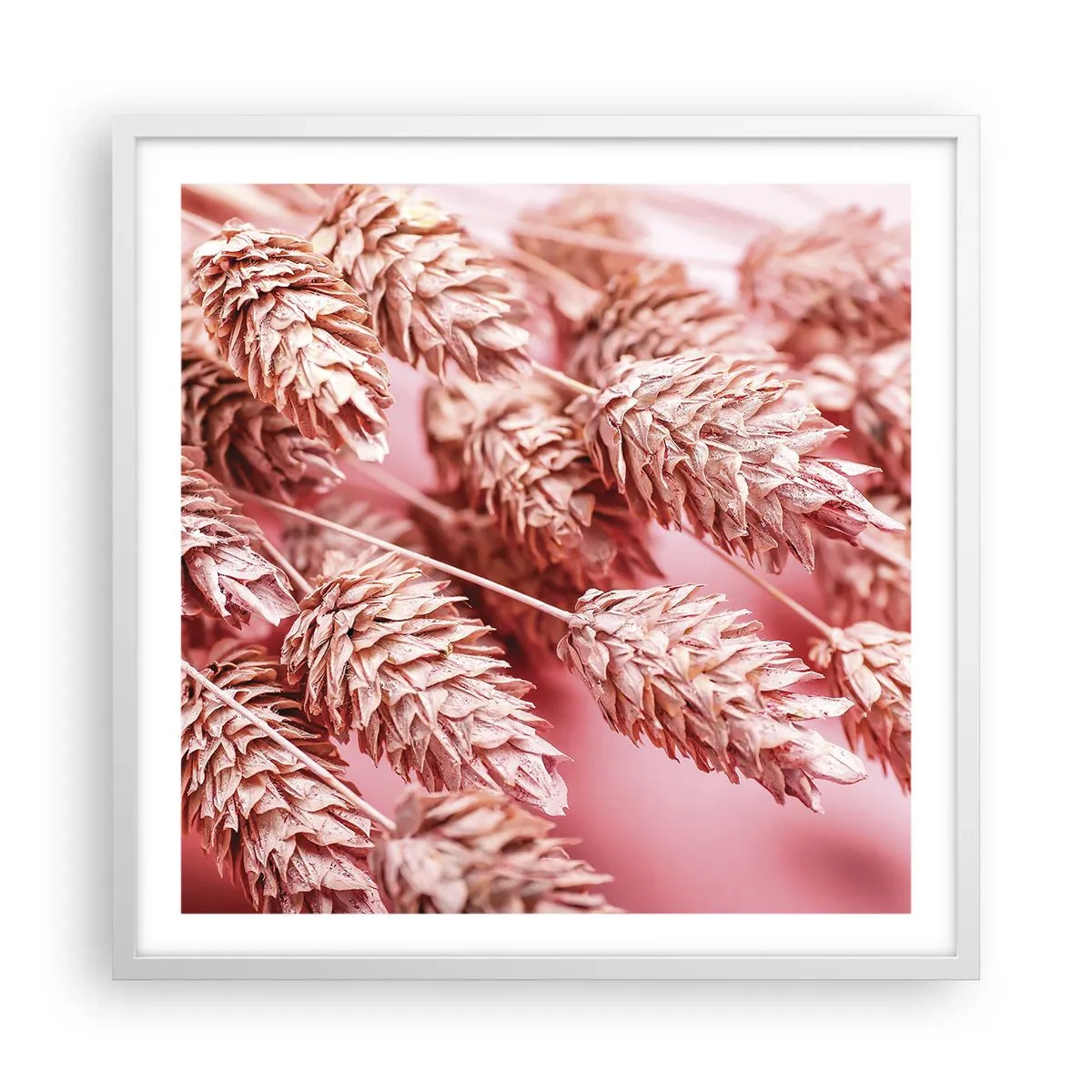 Affisch i vit ram - Blomkaskad i rosa - 60x60 cm