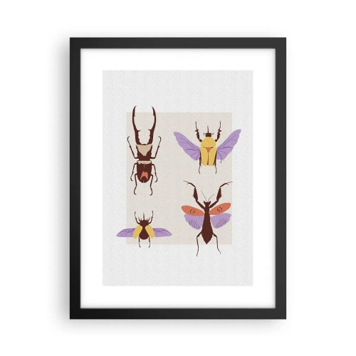Affisch i svart ram - Insektsvärlden - 30x40 cm