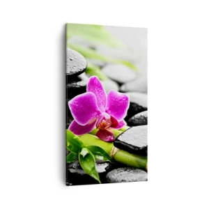 Canvastavla - Bild på duk - Lugn balans - 45x80 cm