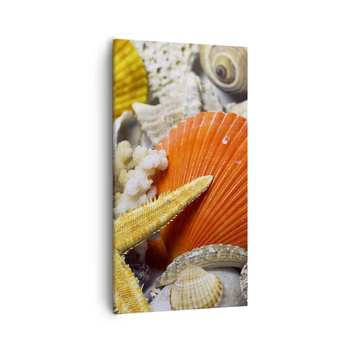Canvastavla - Bild på duk - Havets skatter - 55x100 cm