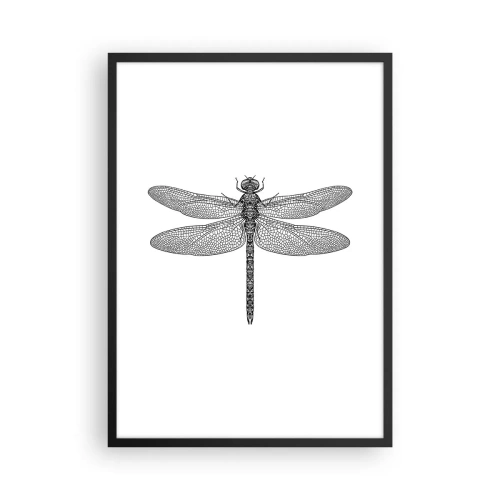 Affisch i svart ram - Svartvit illustration av en trollslända på vit bakgrund - 50x70cm - Precision i naturen - Modern väggdekoration för vardagsrum och sovrum ARTTOR