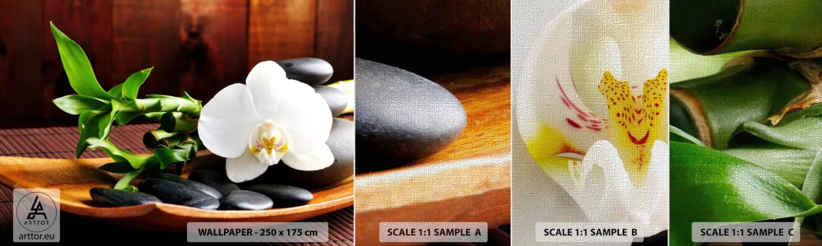 Provbit av fototapet Premium Canvas - Bli berörd av naturen - Blommor, Orkide, Orkide - 100x30 cm