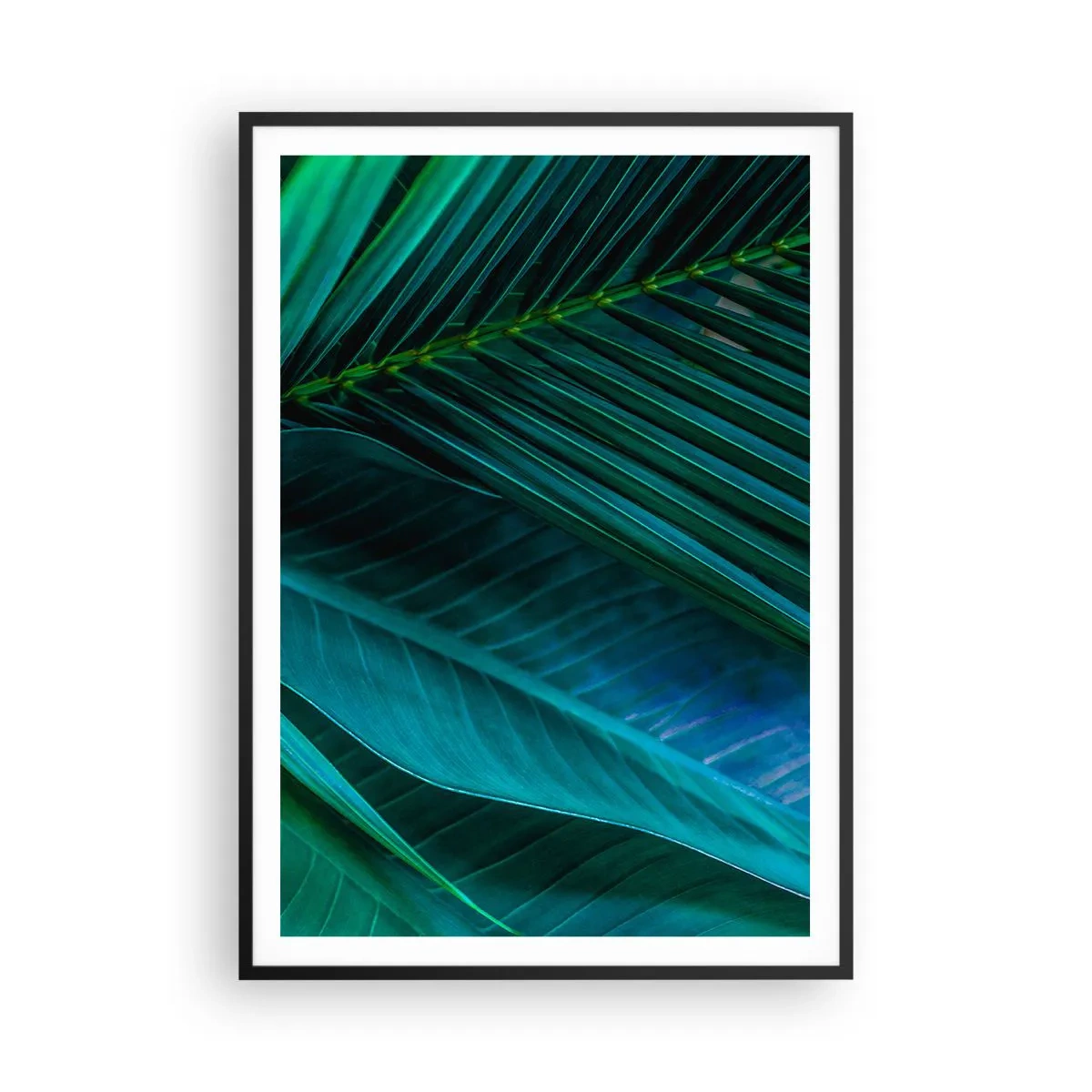 Affisch i svart ram - Grönskans anatomi - 70x100 cm