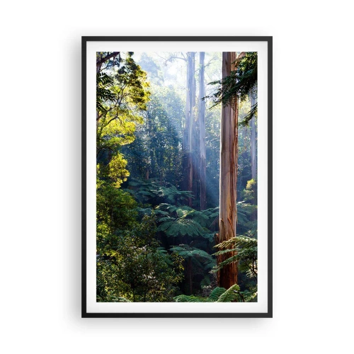 Affisch i svart ram - Skogens saga - 61x91 cm