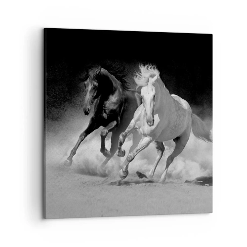 Canvastavla - Bild på duk - Frihetens galopp - 50x50 cm