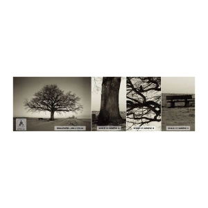 Fototapet Prov Standard Eco - Härifrån till evighet - Landskap, Träd, Natur - 100x30 cm