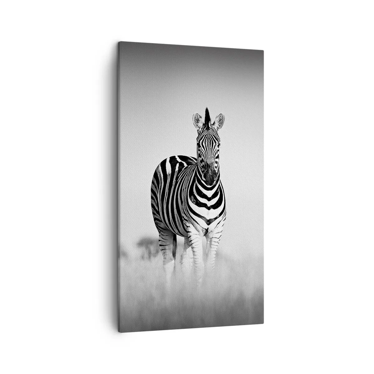 Canvastavla - Bild på duk - Men dock världen är svart-vit - 45x80 cm