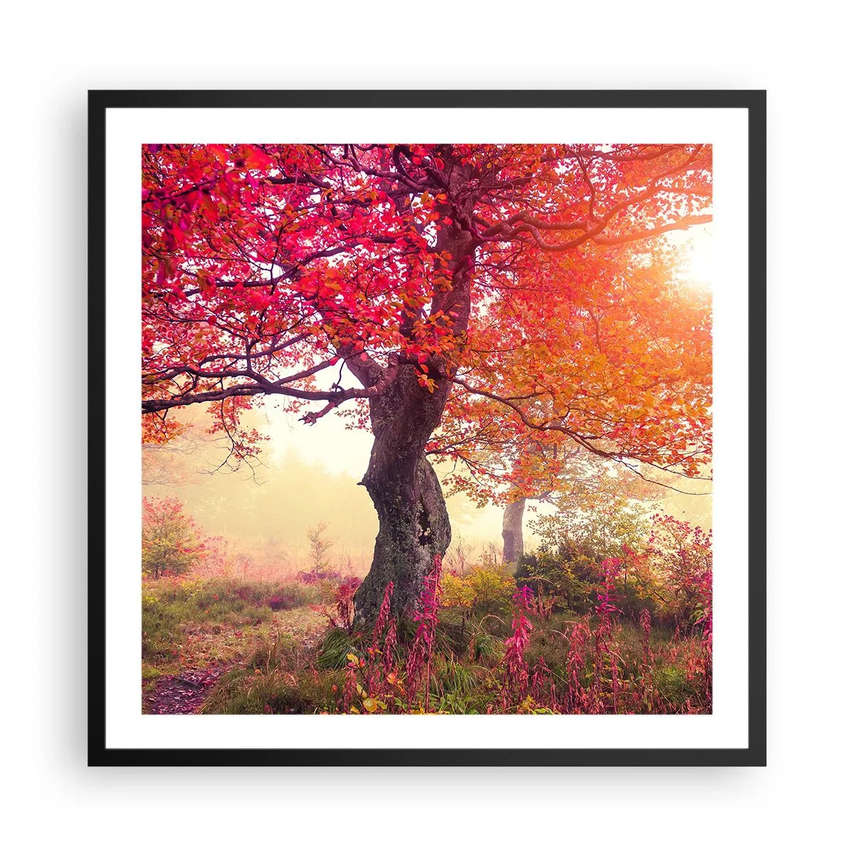Affisch i svart ram - Våldsam blommande - 60x60 cm