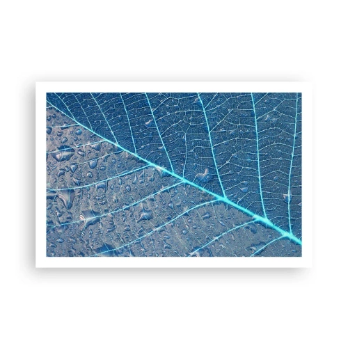 Affisch - Livet i det blåa - 91x61 cm