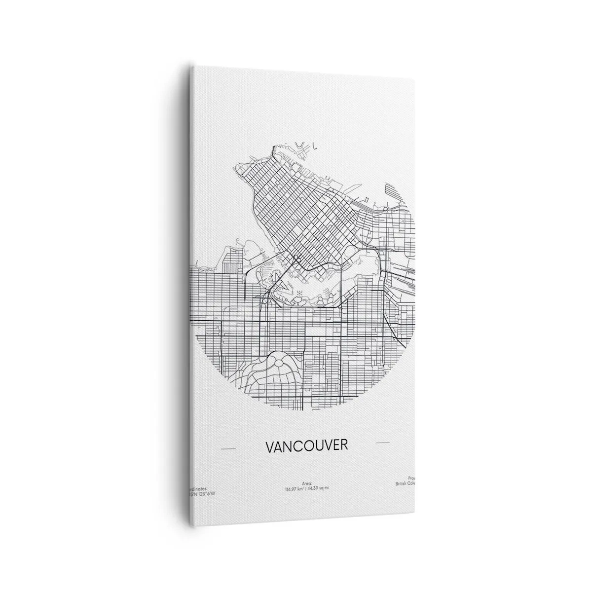 Canvastavla - Bild på duk - Vacouvers anatomi - 55x100 cm