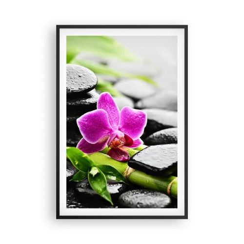 Affisch i svart ram - Lugn balans - 61x91 cm