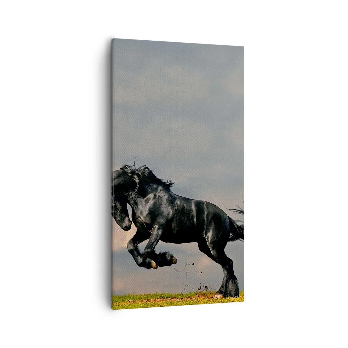 Canvastavla - Bild på duk - Vacker och fri - 55x100 cm