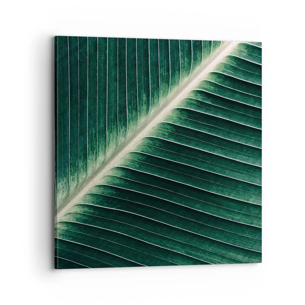 Canvastavla - Bild på duk - Naturens rytm - 70x70 cm