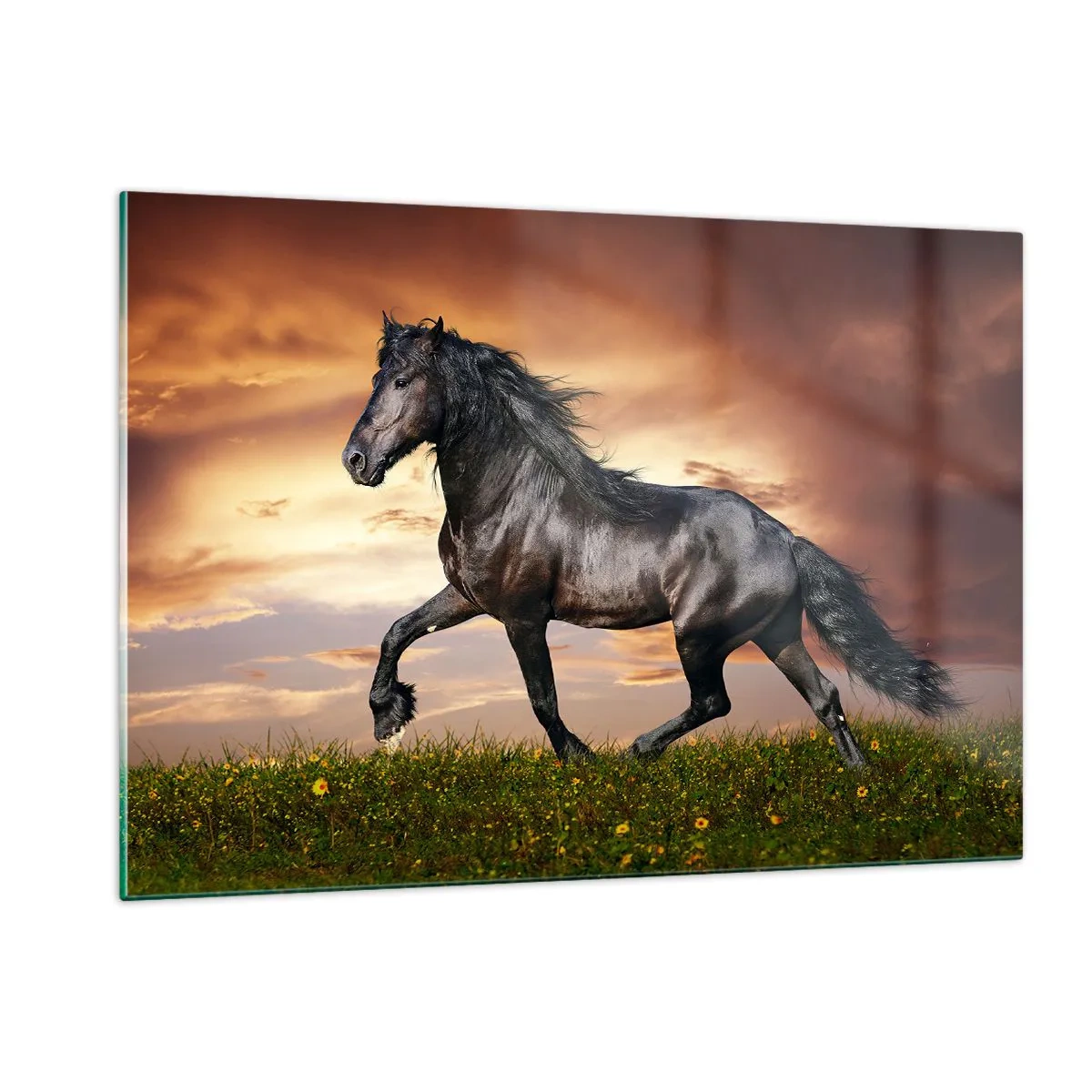 Glastavla - Bild på glas - Svarta prinsen - 120x80 cm