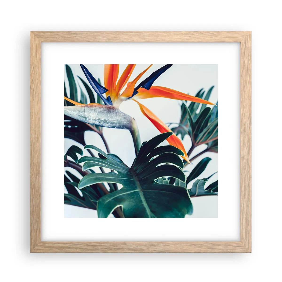 Affisch i ram av ljusek - Fågelbuske - 30x30 cm