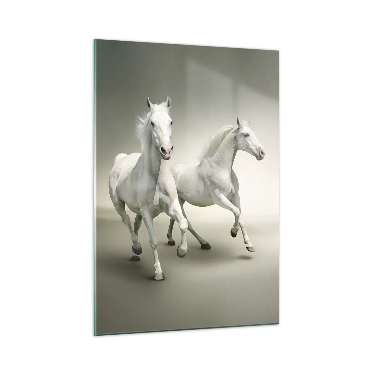 Glastavla - Bild på glas - White power! - 50x70 cm