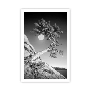 Affisch - Segerrik kämpe - 61x91 cm