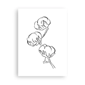 Affisch - Bomullsdun - 50x70 cm