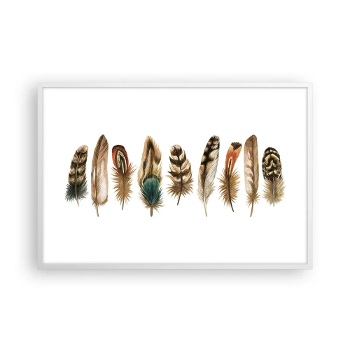 Affisch i vit ram - Fjädervariation - 91x61 cm