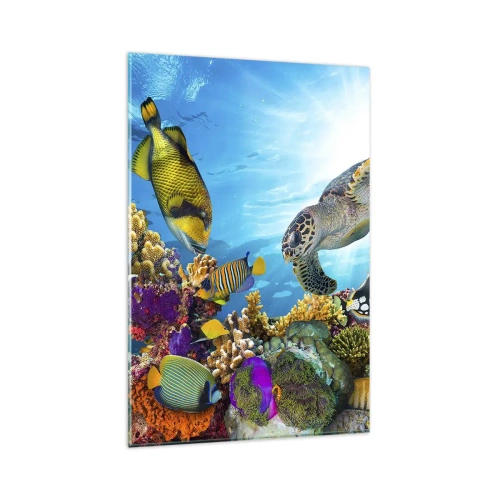 Glastavla - Bild på glas - Korallpromenad - 80x120 cm