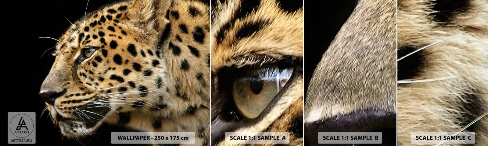 Provbit av självhäftande fototapet Deluxe Sticker - Lugn, fokuserad, redo - Djur, leopard, Afrika - 100x30 cm