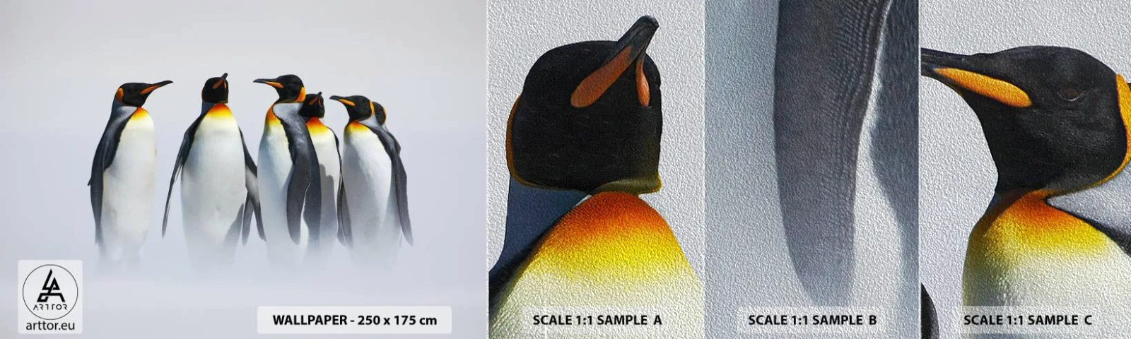 Provbit av fototapet Premium Sand - En träff i kvällsdräkter - Djur, Pingvin, Natur - 100x30 cm