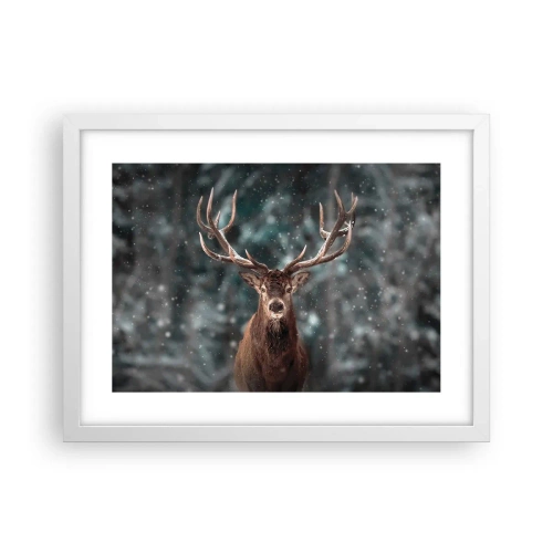 Affisch i vit ram - Krönt skogens kung - 40x30 cm