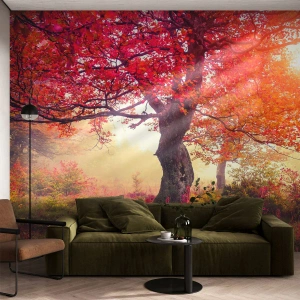 Fototapet Standard Eco - Våldsam blommande - Landskap, Parkera, Blommor - 350x256 cm