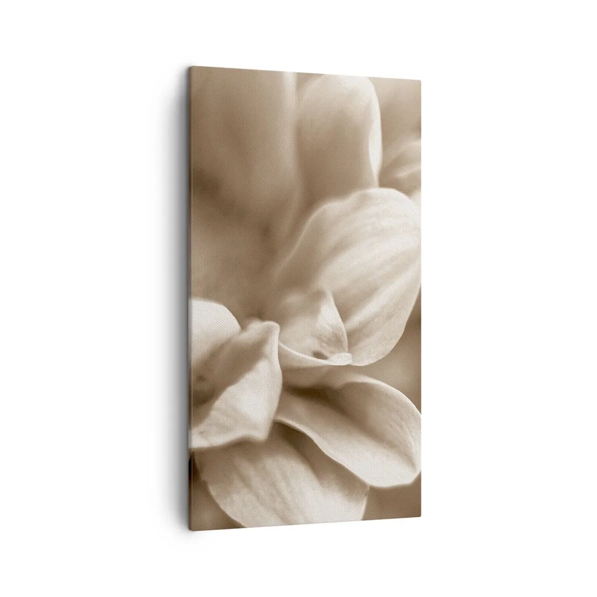 Canvastavla - Bild på duk - Milda som ett leende - 45x80 cm