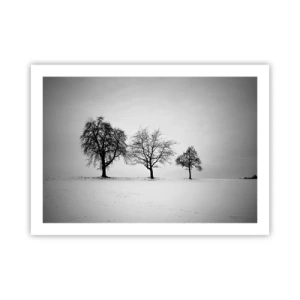 Affisch - Vad drömmer de om? - 70x50 cm